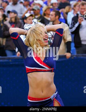 29 November 2009: The Buffalo Jills cheerleaders entertain the fans prior  to a game between the Miami Dolphins and the Buffalo Bills at Ralph Wilson  Stadium in Orchard Park, New York. The