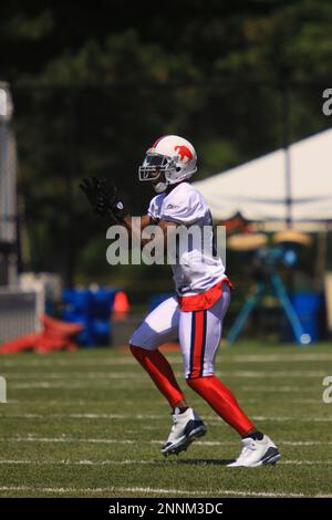 Buffalo Bills reciever Terrell Owens pumps up the crowd after a big pass  play during Thursday nights practice at St. John Fisher College in  Rochester, NY (Credit Image: © Michael Johnson/Southcreek  Global/ZUMApress.com