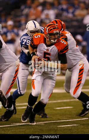 Cincinnati Bengals wide receiver Andre Caldwell (87) runs the ball during  an NFL football game, Sunday, Nov. 30, 2008, in Cincinnati. (AP Photo/David  Kohl Stock Photo - Alamy