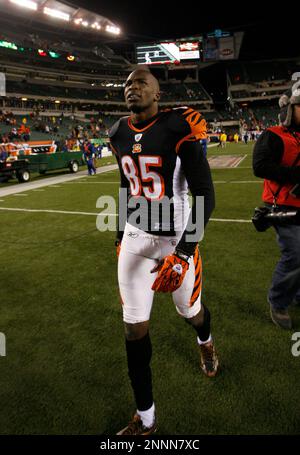 Cincinnati Bengals quarterback Carson Palmer (9) passes against the New  York Jets during the first quarter of their wild card playoff game at Paul  Brown Stadium in Cincinnati, OH., on January 9