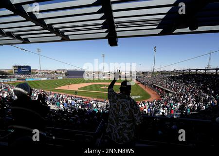 The San Diego Padres playing the Seattle Mariners at a spring training  baseball game Peoria Arizona Stock Photo - Alamy