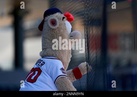 Atlanta Braves mascot Blooper (00) during a Major League Spring