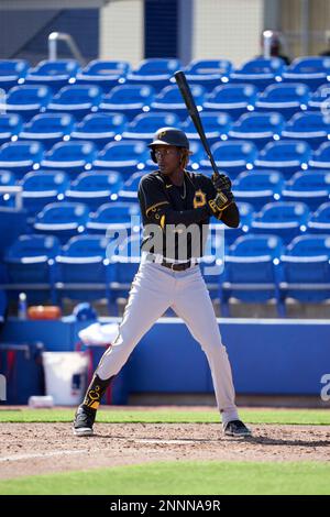 Oneil Cruz  Four Seam Images