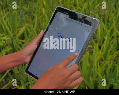 close up of hand holding smartphone opening google search engine Stock Photo