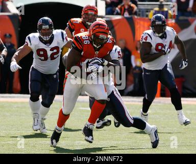 Cincinnati Bengals tight end Daniel Coats and Green Bay Packers