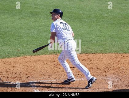 TAMPA, FL - MARCH 07: New York Yankees outfielder Jay Bruce (30) at bat  during the MLB