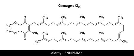 Coenzyme Q10 molecular structure. Coenzyme Q10, ubiquinone or CoQ10, is a organic vitamin-like compound important for cardiovascular, brain and dental health, fertility, physical perfromance. .Vector structural formula of chemical compound. Black pen Hand-drawn style. Stock Vector