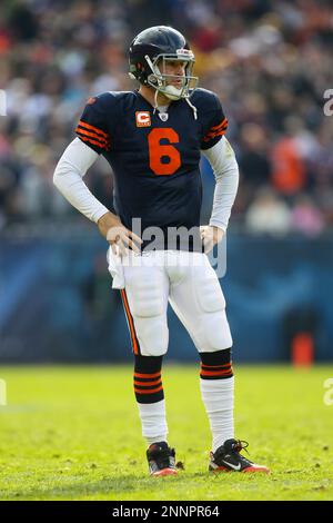 Chicago Bears linebacker Brian Urlacher (54) watches the action on the  sidelines in the second half of an NFL football game against the Minnesota  Vikings in Chicago, Sunday, Oct. 16, 2011. The