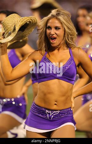 Mall of America on X: The Minnesota Vikings Cheerleaders brought