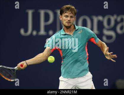 David Goffin in action against Reilly Opelka at the 2020 US Open, Monday, Aug. 31, 2020 in Flushing, NY. (Carmen Mandato/USTA via AP)