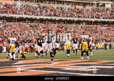 FILE - In this Sept. 27, 2009 file photo, Cincinnati Bengals