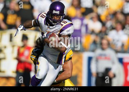 18 October 2009: Pittsburgh Steelers linebacker James Harrison (92) after  recovering a Cleveland Browns fumble during the NFL football game between  the Cleveland Browns and Pittsburgh Steelers at Heinz Field in Pittsburgh