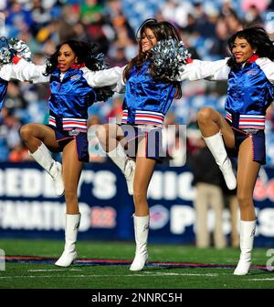 A Buffalo Bills cheerleader against the Cleveland Browns during the first  half of the NFL football game in Orchard Park, N.Y., Sunday Oct. 11, 2009.  (AP Photo/David Duprey Stock Photo - Alamy