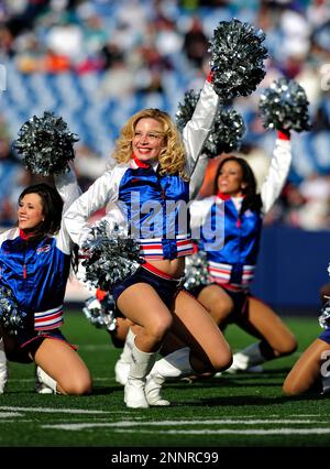 01 November 2009: Buffalo Jills cheerleaders cheer for the bills during a  game against the Houston Texans at Ralph Wilson Stadium in Orchard Park,  NY. (Icon Sportswire via AP Images Stock Photo - Alamy