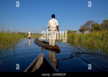 Tourists in a mokoro or dugout boat on safari in swamp area, Gomoti Plains Camp, Gomoti Concession Area, Okavango Delta, Botswana Stock Photo