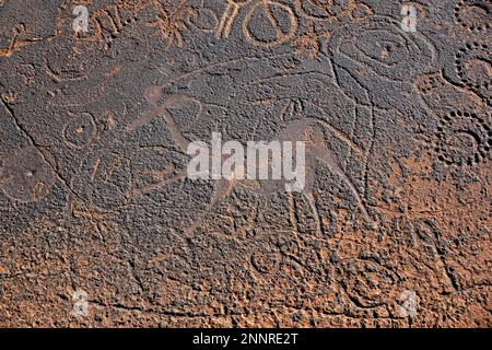 Rock engraving of the Dancing Kudus, Twyfelfontein, Unesco World Heritage Site, Kunene Region, Namibia Stock Photo