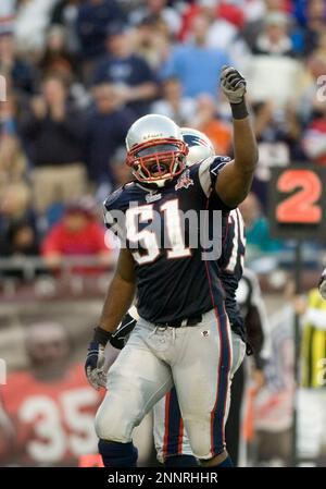 19 September 2010: New England Patriots linebacker Jerod Mayo (51) during  the Jets 28-14 win over the Patriots at the New Meadowlands Stadium in East  Rutherford, New Jersey The Jets defeated the