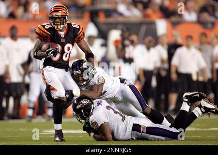 Cincinnati Bengals' Tab Perry (88) is tackled by Buffalo Bills