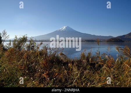 Volcano Fuji or Fudschijama with snow-covered summit, 3776 meters, with Kawaguchi Lake, near Fujikawaguchiko, Yamanashi Prefecture, Honshu Island Stock Photo