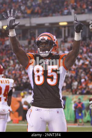 December 27 2009: WR Chad Ochocinco (85) of the Cincinnati Bengals before  the game against the Kansas City Chiefs at Paul Brown Stadium in  Cincinnati, Ohio. (Icon Sportswire via AP Images Stock Photo - Alamy