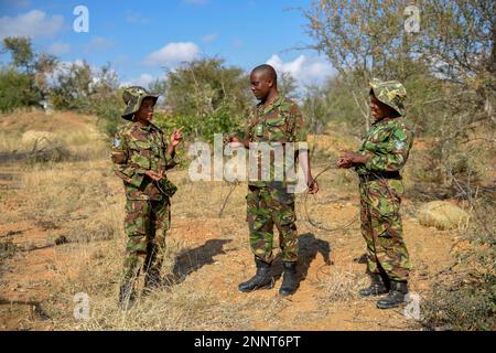 Three rangers from the anti-poacher unit Black Mambas with confiscated poacher snares, Balule Game Reserve, Limpopo Province, South Africa Stock Photo