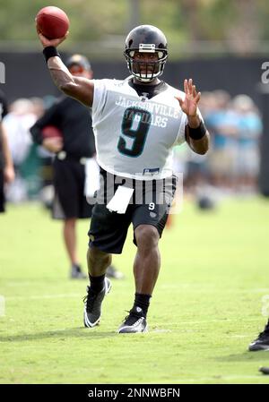 26 July 2008: Jacksonville Jaguars wide receiver Clyde Edwards #16 during  the Jacksonville Jaguars training camp