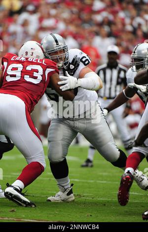 26 September 2010: Oakland Raiders quarterback Bruce Gradkowski (5) during  the regular season game between the Oakland Raiders and Arizona Cardinals  at University of Phoenix Stadium in Glendale, AZ. The Cardinals won