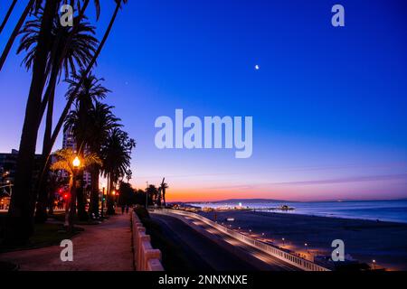 Palm trees at sunset, Zuma Beach, Malibu, California, USA Stock Photo