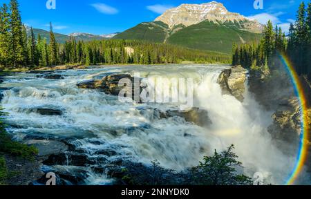 Athabasca River and Athabasca Falls with rainbow, Jasper, Alberta, Canada Stock Photo