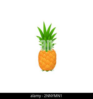 vector design of fresh yellow pineapple fruit isolated on a white background Stock Vector