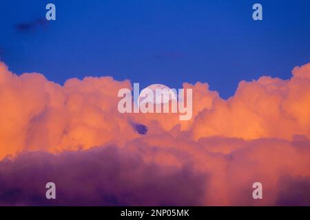Pink clouds and full moon at sunset Stock Photo