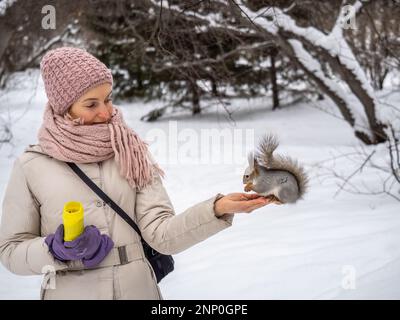 Girl feeds a squirrel with nuts at winter. Squirrel eats nuts from the girls hand. Caring for animals in winter or autumn. Stock Photo
