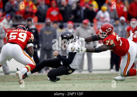 09 January 2011: Ravens tight end Todd Heap. In the Sunday AFC