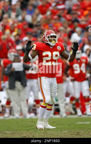 Buffalo Bills rookie defensive back Brett Johnson (#46) during a minicamp  event at Ralph Wilson Stadium in Orchard Park, New York. (Credit Image: ©  Mark Konezny/Southcreek Global/ZUMApress.com Stock Photo - Alamy