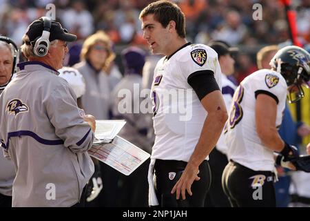 02 November 2008 - Offensive coordinator Jason Garrett and Brad Johnson  (14) of the Dallas Cowboys during the New York Giants 35-14 win over the  Cowboys at Giants Stadium in Newark, New