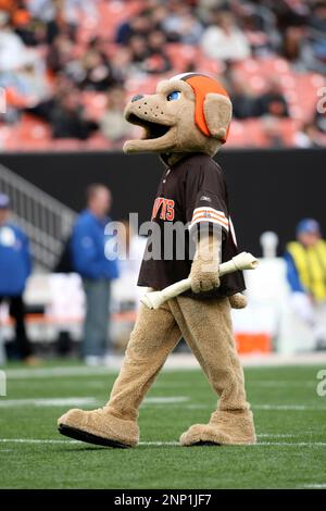 25 October 2009: Cleveland Browns fan dressed with a pumpkin on