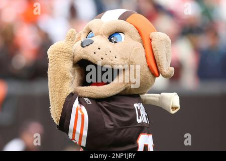 25 October 2009: Cleveland Browns Shaun Rogers (92) talks with Robaire  Smith during the Browns game against the Green Bay Packers in Cleveland,  OH. (Icon Sportswire via AP Images Stock Photo - Alamy