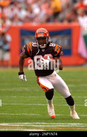 Peter Warrick of the Cincinnati Bengals runs with the ball during the