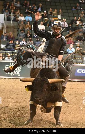 CEDAR PARK, TX - JANUARY 16: Grayson Cole rides Oreo during the  Professional Bull Riders Tour Cedar Park Chute Out on January 16, 2021 at  the H-E-B Center in Cedar Park, TX. (