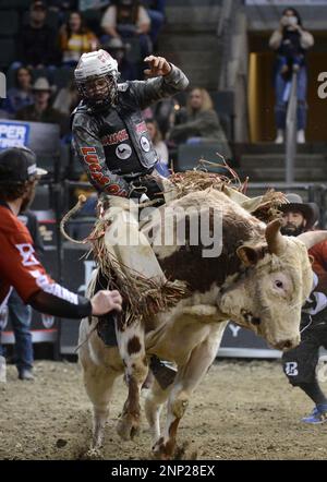 CEDAR PARK, TX - JANUARY 16: Lucas Fideles Souza rides Kangaroo during the  Professional Bull Riders Tour Cedar Park Chute Out on January 16, 2021 at  the H-E-B Center in Cedar Park