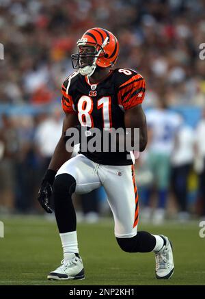 Minnesota Vikings vs. Dallas Cowboys . NFL Game. American Football League  match. Silhouette of professional player celebrate touch down. Screen in  bac Stock Photo - Alamy