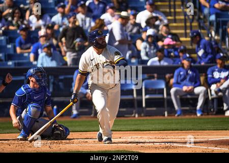 Milwaukee Brewers' Rowdy Tellez watches a home run during a baseball game  against the Tampa Bay Rays Wednesday, June 29, 2022, in St. Petersburg,  Fla. (AP Photo/Steve Nesius Stock Photo - Alamy