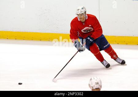 Florida Panthers' Grigori Denisenko takes the puck down the ice during an NHL  hockey training camp, Friday, Sept. 24, 2021, in Sunrise, Fla. (AP  Photo/Wilfredo Lee Stock Photo - Alamy