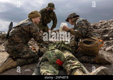 Hijudai, Japan. 18th Feb, 2023. U.S. Navy corpsmen with the 31st Marine Expeditionary Unit, and a soldier with the 1st Amphibious Rapid Deployment Regiment, Japan Ground Self-Defense Force, begin to apply a chest seal on a simulated casualty during a mass casualty exercise at Hijudai, Japan on February. 18, 2023. The training simulated a mass casualty event granting the bi-lateral medical team an opportunity to actively practice medical care in the field with closely simulated pressure and conditions during Iron Fist 23. Iron Fist is an annual bilateral exercise designed to increase inter Stock Photo