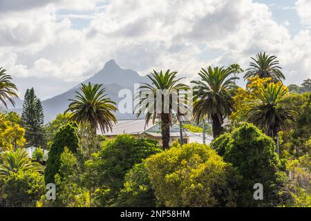 View of Mount Warning aka Wollumbin near murwillumbah, new south wales, australia Stock Photo