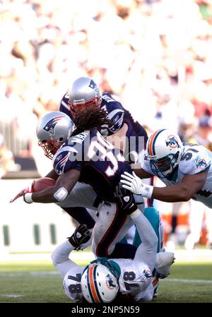 Jerod Mayo: 51 Days to Kickoff - Last Word on Pro Football