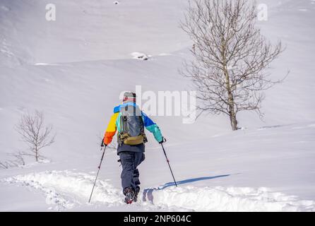 (230226) -- URUMQI, Feb. 26, 2023 (Xinhua) -- Peng Chao hikes in Altay, northwest China's Xinjiang Uygur Autonomous Region, on Jan. 26, 2023. With its high-quality snow conditions, Xinjiang in northwest China has built a number of high-standard ski resorts and become a new hotspot for winter sports. The snow season in Altay, which is located in the northernmost part of Xinjiang, can last up to seven months, making it a heaven for winter sports lovers. At the beginning of the snow season in 2021, Beijing-based skier Peng Chao rented a cabin in the village of Hemu in the Altay Mountain as a Stock Photo