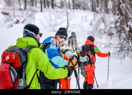 (230226) -- URUMQI, Feb. 26, 2023 (Xinhua) -- Peng Chao (2nd L) hikes with other skiers in Altay, northwest China's Xinjiang Uygur Autonomous Region on Jan. 24, 2023. With its high-quality snow conditions, Xinjiang in northwest China has built a number of high-standard ski resorts and become a new hotspot for winter sports. The snow season in Altay, which is located in the northernmost part of Xinjiang, can last up to seven months, making it a heaven for winter sports lovers. At the beginning of the snow season in 2021, Beijing-based skier Peng Chao rented a cabin in the village of Hemu in Stock Photo