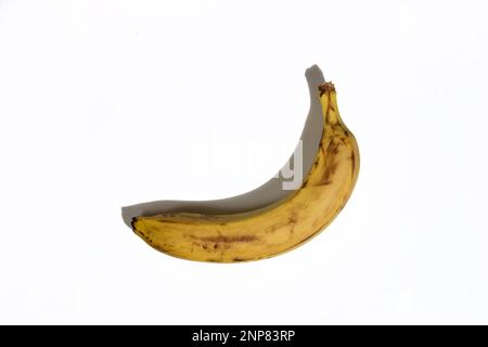 Spoiled banana on a white table with hard shadows. Organic waste from overripe fruit. Tasteless food, fruits. copy space Stock Photo