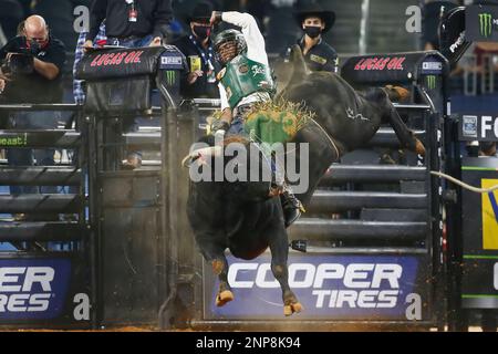 Chiseled - Professional Bull Riders